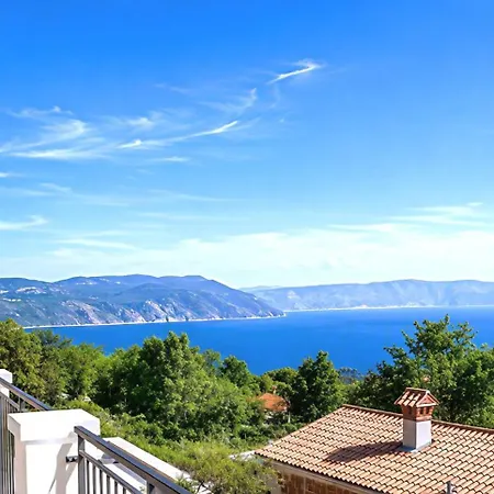 Vila Leo Cavea Vicani